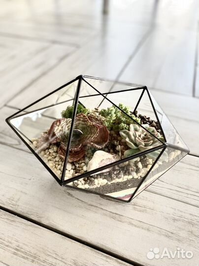 Идеальный подарок - флорариум