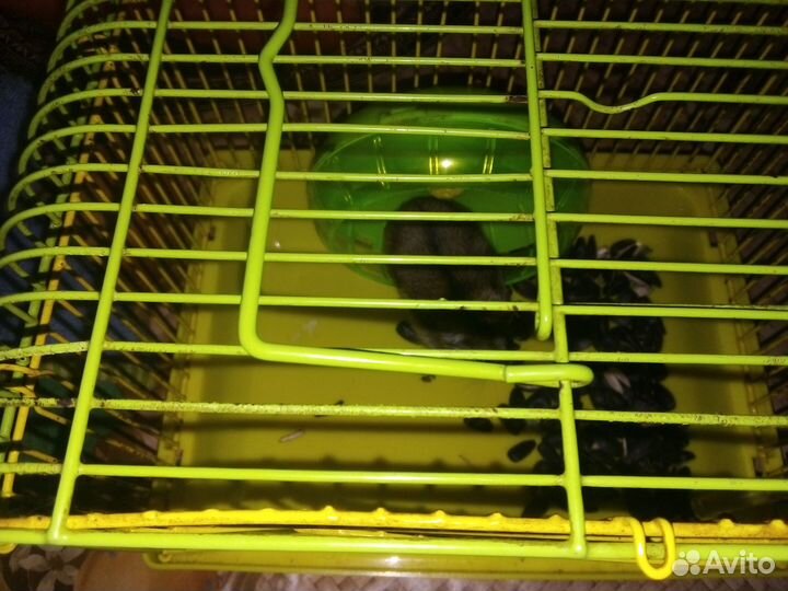 Животные и клетки для животных