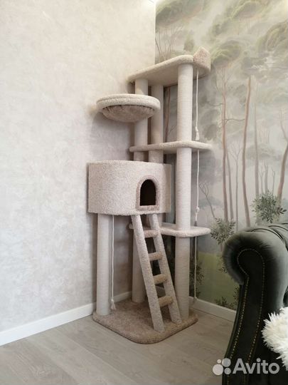 Когтеточка, домик, комплекс для кошек