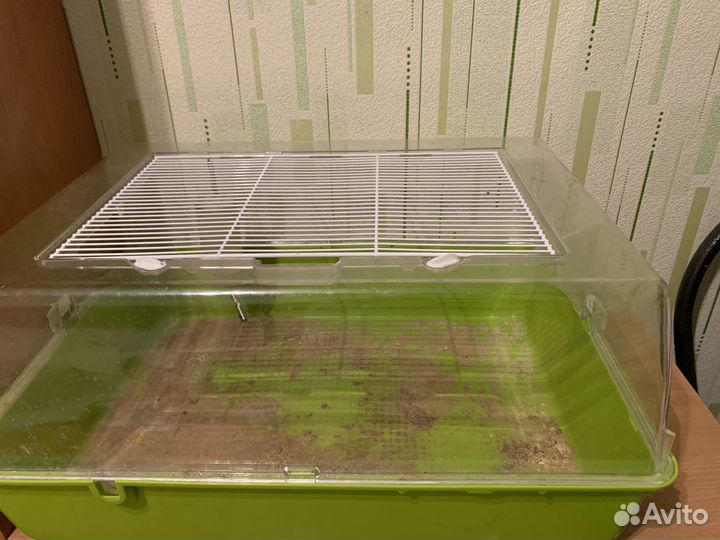 Клетка для морской свинки бу
