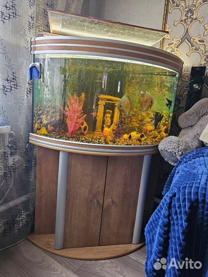 Аквариум 180 л. с тумбой бу