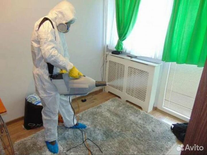 Дезинфекция от клопов, тараканов, крыс, муравьев