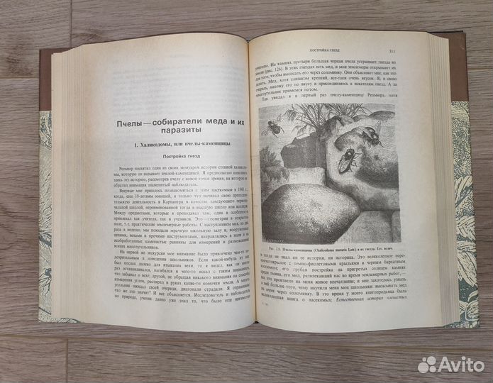 Книги о животном мире