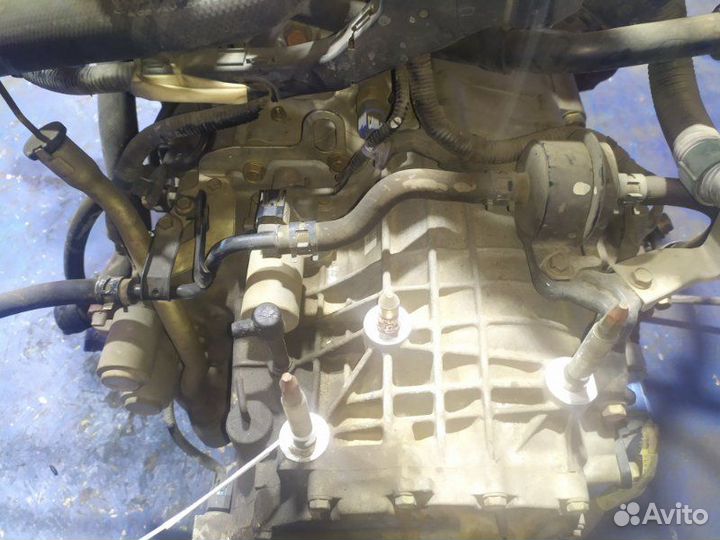 АКПП Honda Elysion RR1 K24A vtec 2004