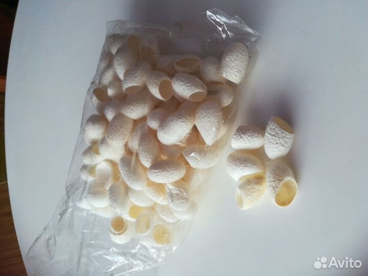 Коконы шелкопряда