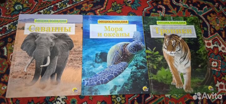 Энциклопедии детские пакетом