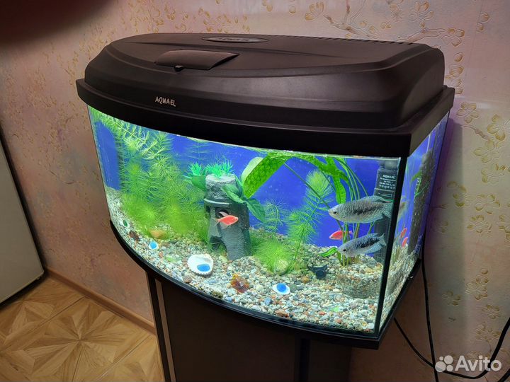 Новый аквариум Laguna Crystal 18 литров
