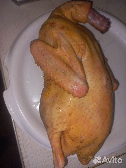 Утка домашние мясо