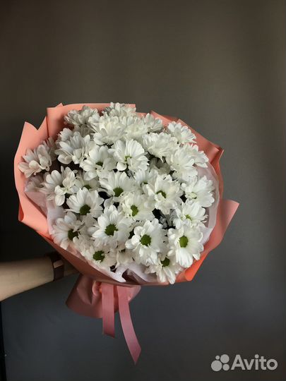 Цветы, букет гигант, хризантемы, ромашки