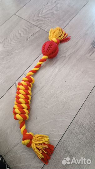 Игрушки ошейник поводок
