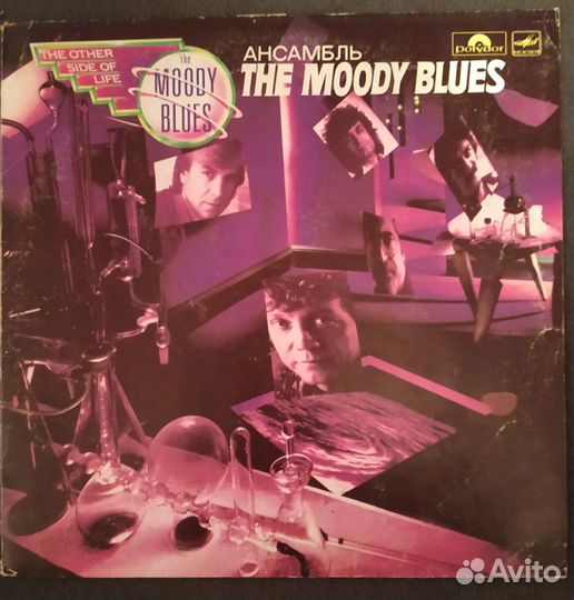 The Moody blues