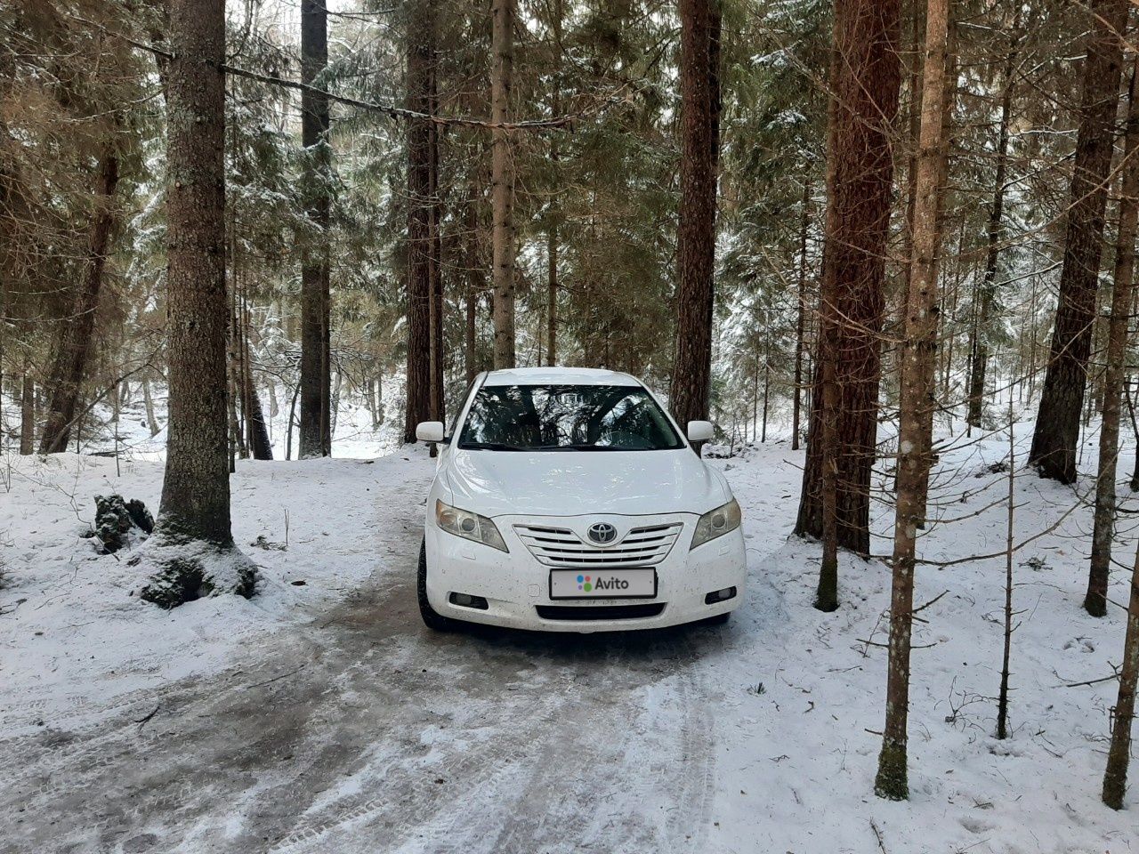 Toyota Camry: фото владельца
