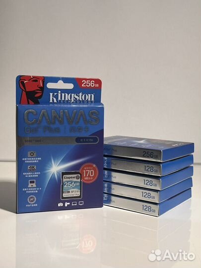 Kingston Canvas Go Plus sdxc 128Gb, 256 Gb