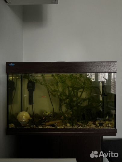 Аквариум 140 литров