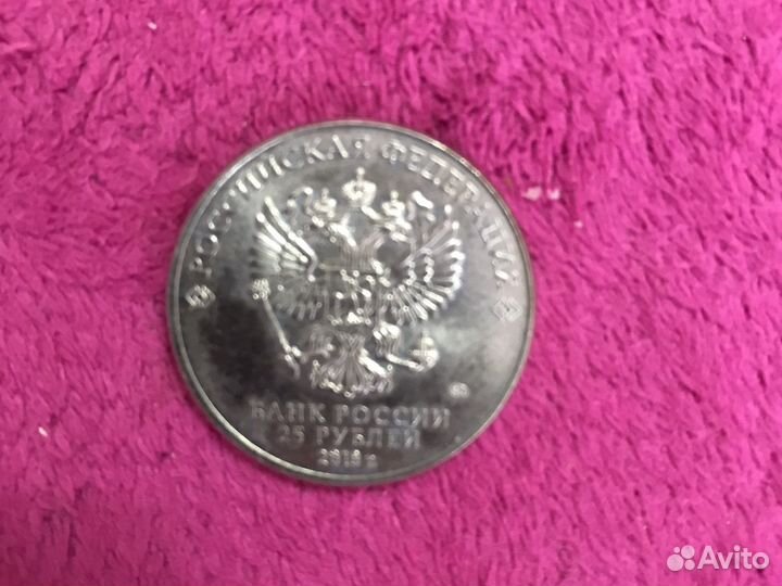 Монета забивака 2018