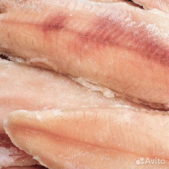 Филе щуки без кожи с/м