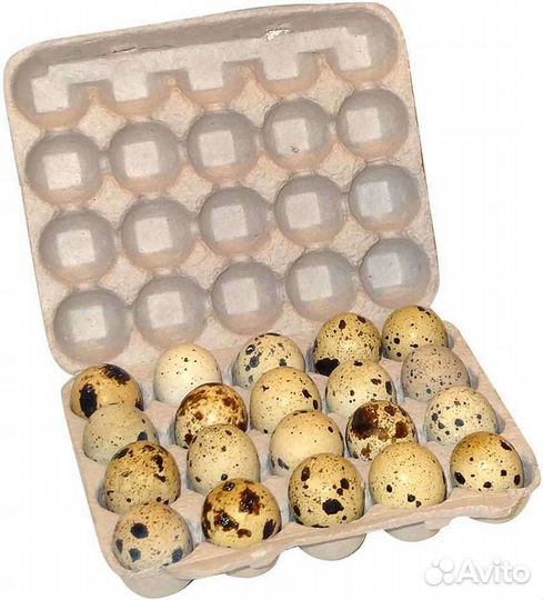 Перепелиные ячейки