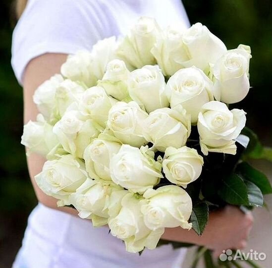 Розы Цветы Букеты 25 51 151 201 101 301 501 опт