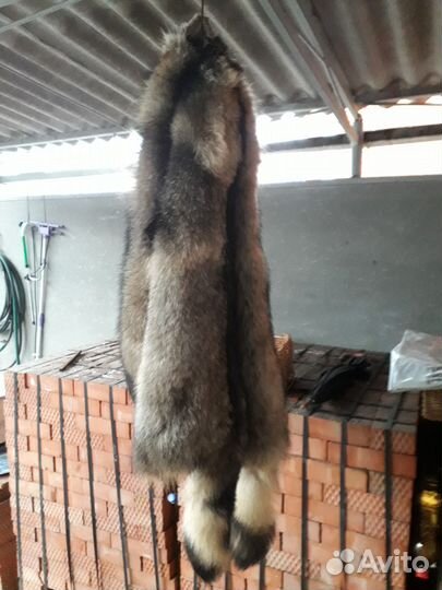 Выделка и покраска шкур