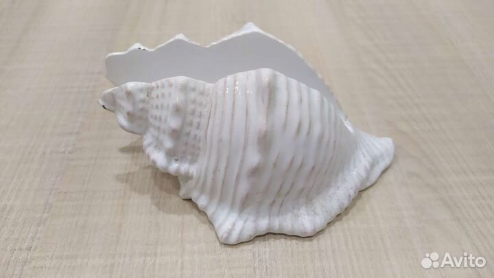 Салфетница Ракушка