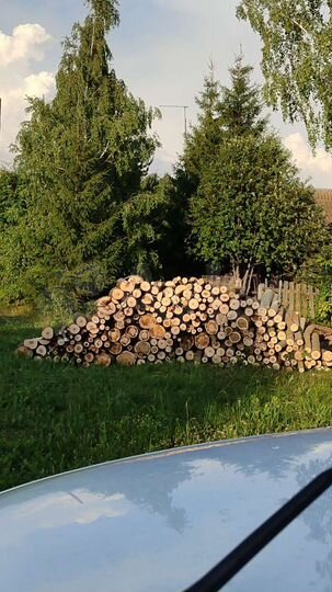 Участок 19,6 сот. (ИЖС)