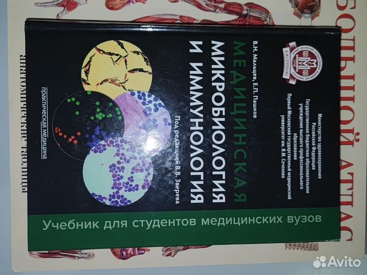 Микробиология и иммунология медицина