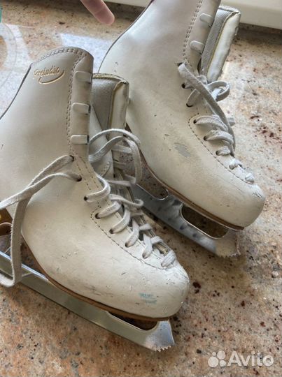 Коньки Edea preludio 215