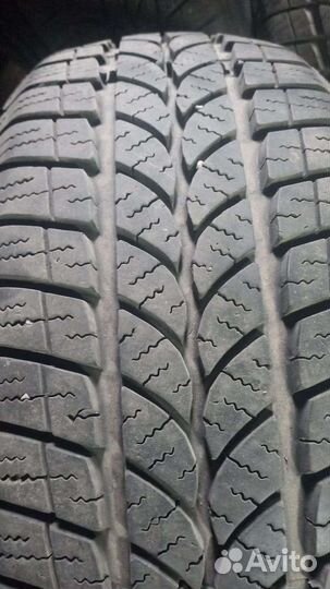 Tigar Winter 205/55 R16 94H