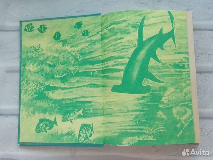 Двадцать тысяч лье под водой Жюль Верн