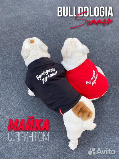 Майка для Бульдога