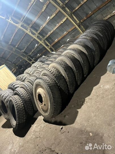12.00R24 325/95r24