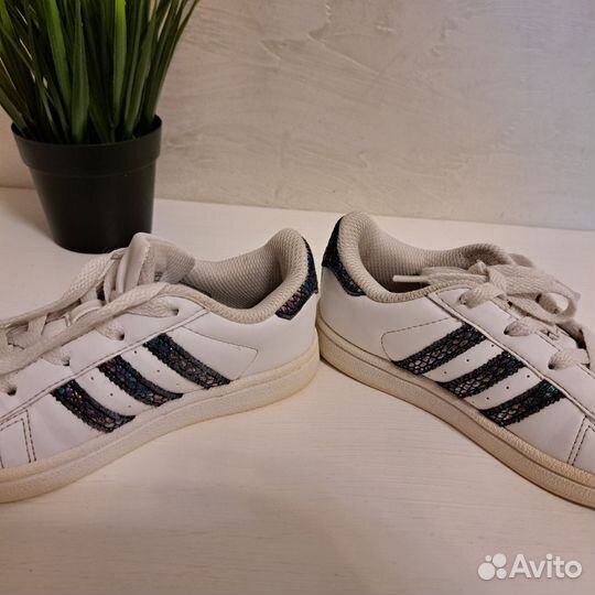 Кеды adidas superstar