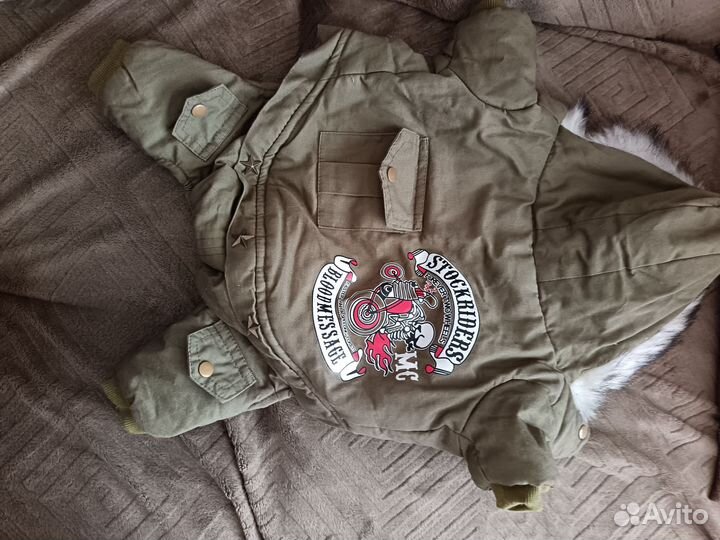 Куртка для собак мелких пород