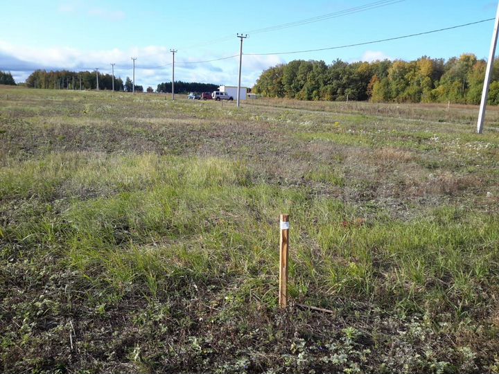 Участок 10 сот. (ИЖС)