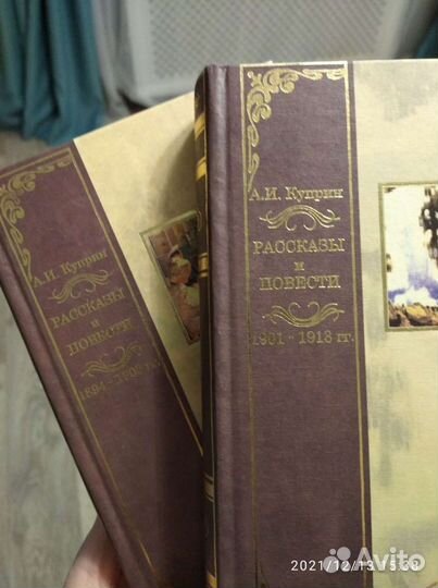 Новые книги рассказы Куприна