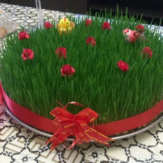 Семени новруз