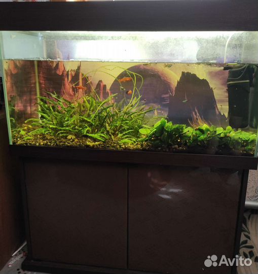 Аквариум с тумбой 200литров