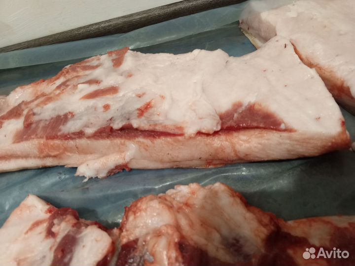 Сало свежее