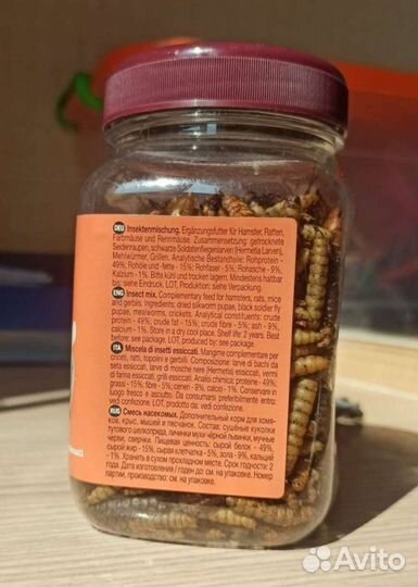 Насекомые сушёные little one