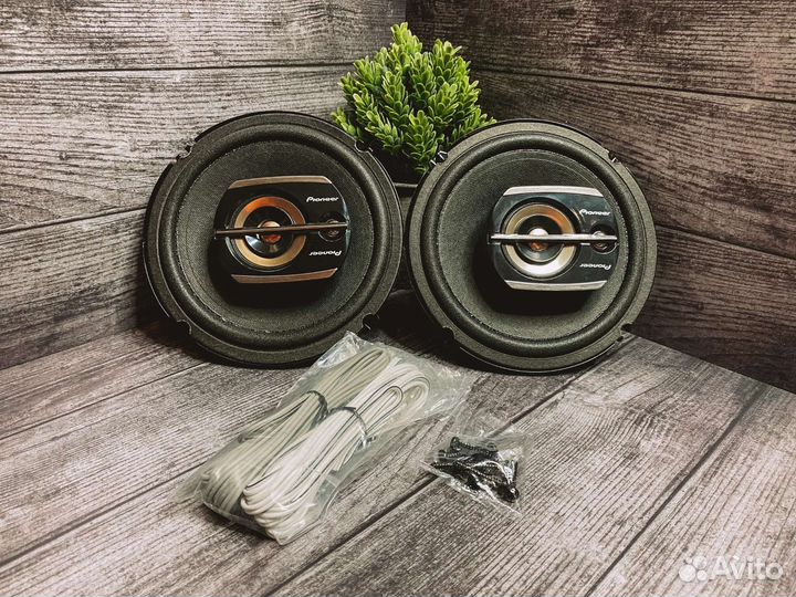 Динамики Pioneer TS - 1675 v2 (16см) (красавчики)