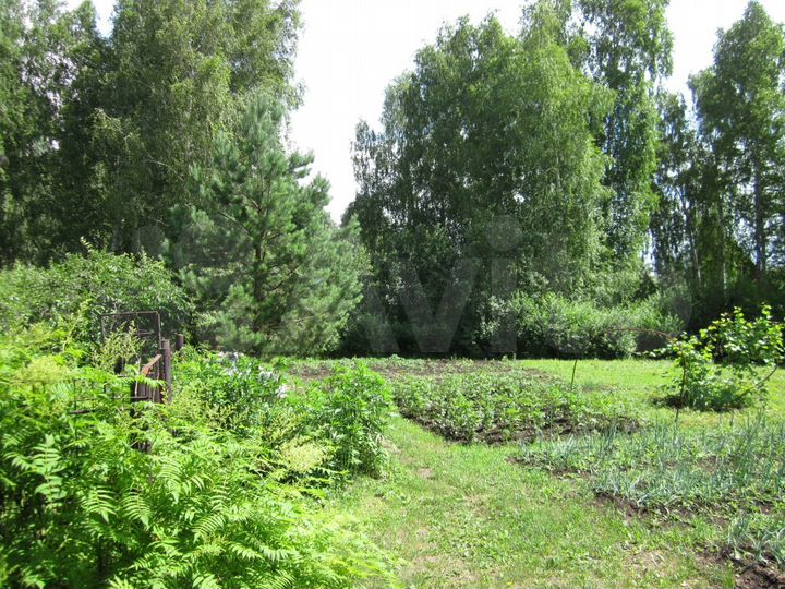 Участок 12 сот. (СНТ, ДНП)