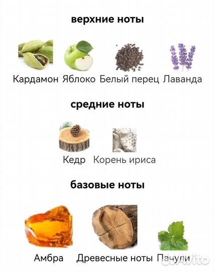 Amber Wood Ajmal для мужчин и женщин