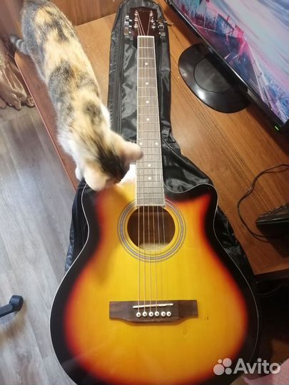 Акустическая гитара с чехлом и струнами