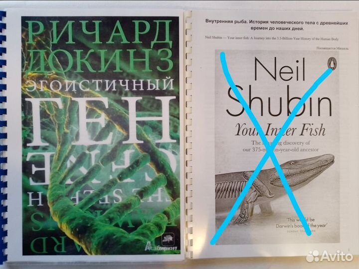 Бионаучпоп: Акимушкин, Докинз. Учебники Экология