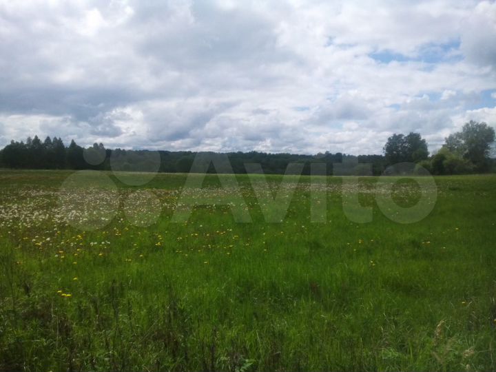 Участок 3,6 га (ИЖС)