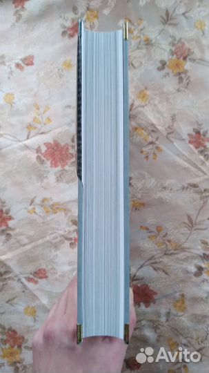 Вита нова Иван шмелев История любовная