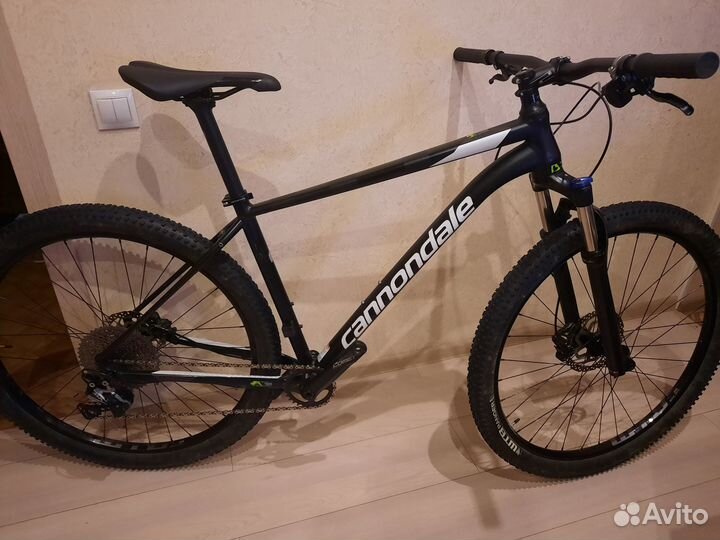 Cannondale trail 2024 3 bbq