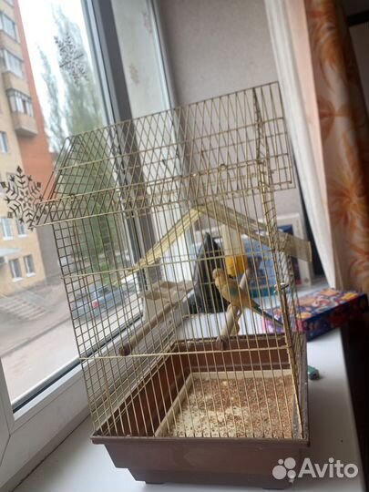 Большая клетка для птиц