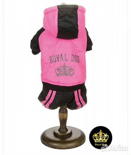 Темплый комбинезон для собаки девочки Royal dog xs
