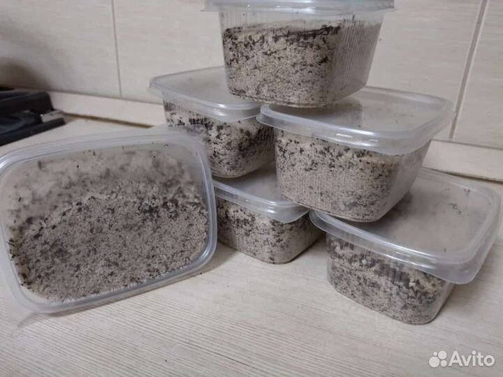 Соль на травах